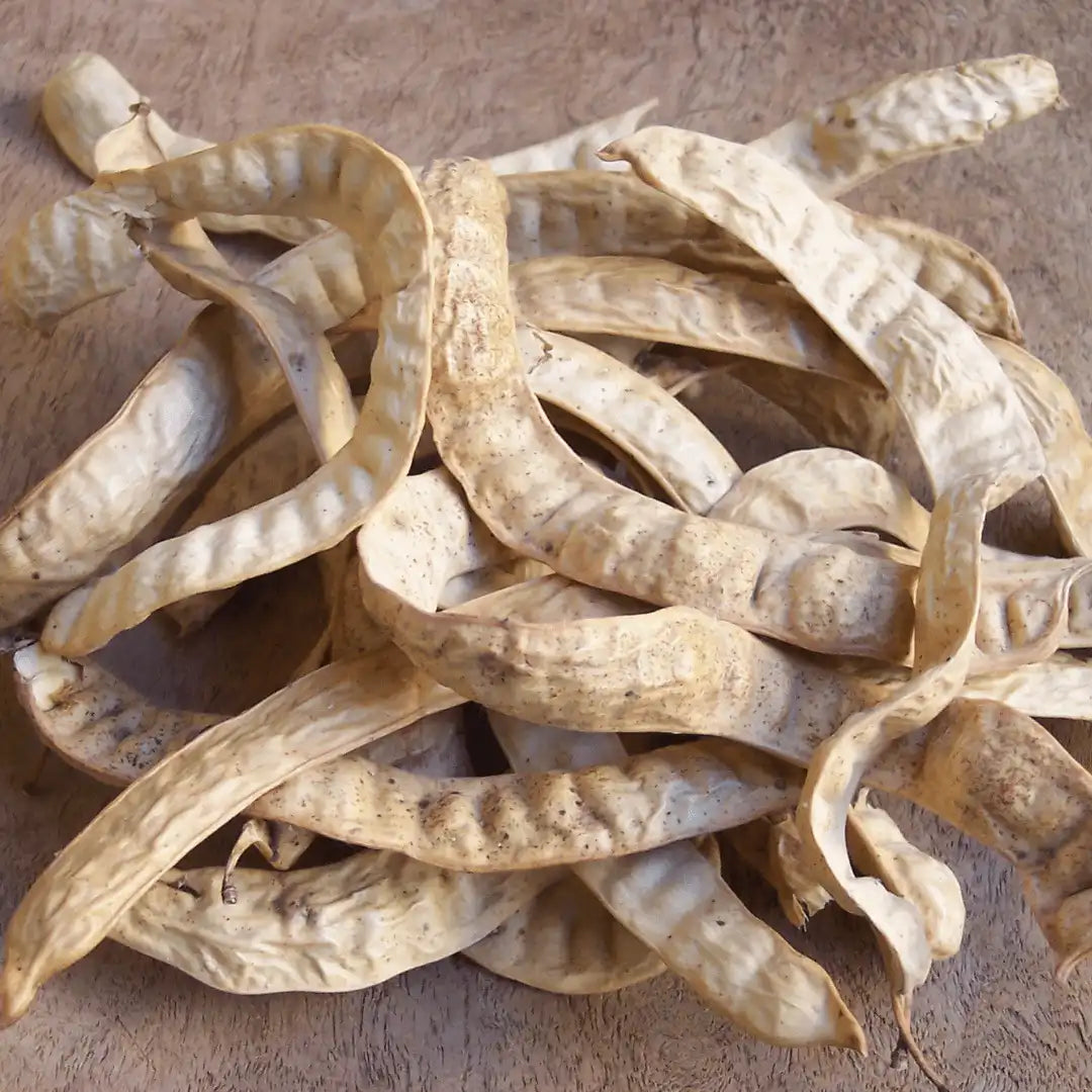 Wild Mesquite