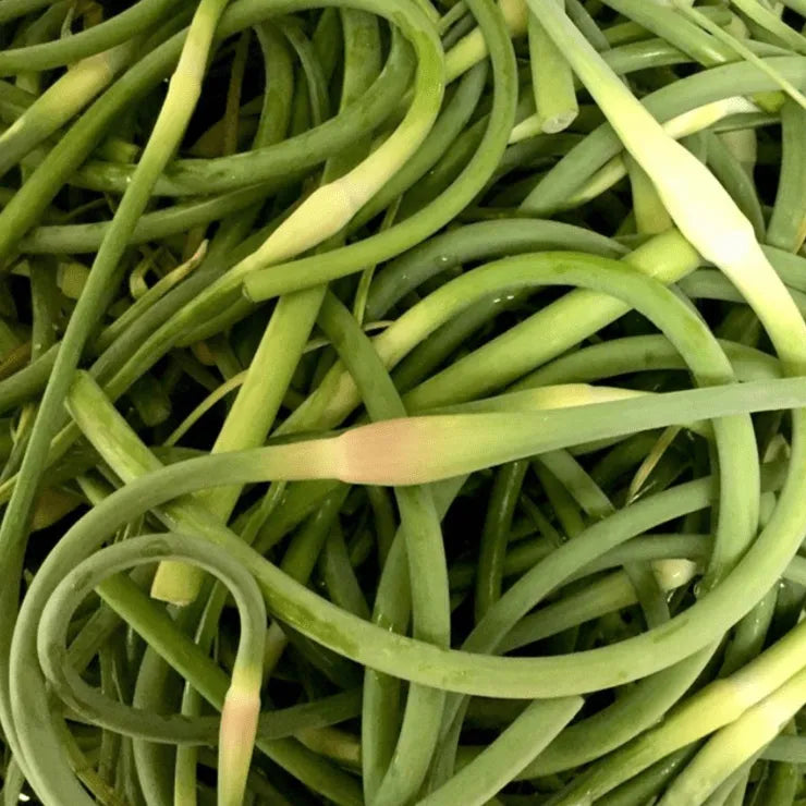 Garlic Scape Pickle